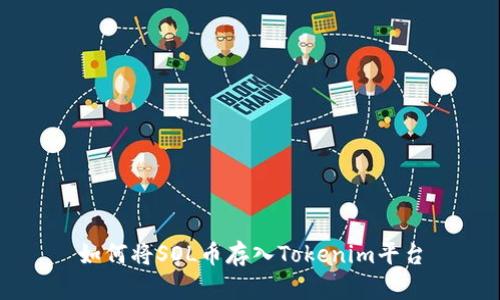 如何将SOL币存入Tokenim平台