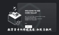 数字货币的跨境流通：机