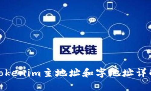 Tokenim主地址和字地址详解