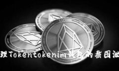 如何处理Tokentokenim钱包的