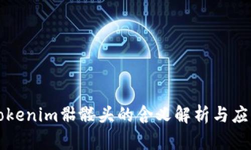 Tokenim骷髅头的含义解析与应用