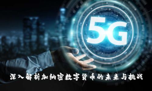 深入解析加纳密数字货币的未来与挑战