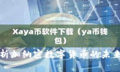深入解析加纳密数字货币