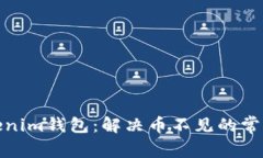 : Tokenim钱包：解决币不见