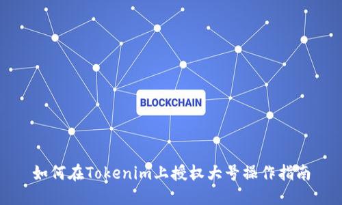如何在Tokenim上授权大号操作指南