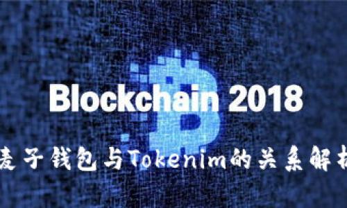 麦子钱包与Tokenim的关系解析