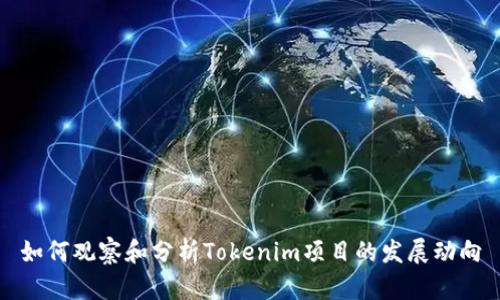 如何观察和分析Tokenim项目的发展动向