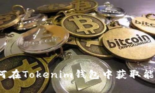 如何在Tokenim钱包中获取能量?