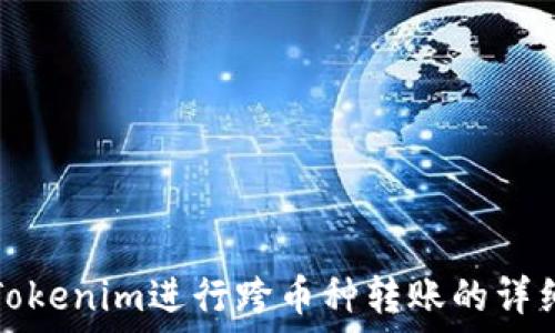  

使用Tokenim进行跨币种转账的详细指南