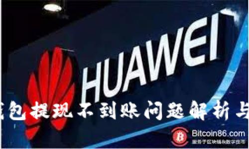 :以太坊钱包提现不到账问题解析与解决方案