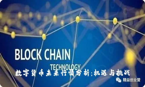数字货币未来行情分析:机遇与挑战