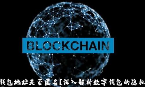 Tokenim钱包地址是否匿名?深入解析数字钱包的隐私保护机制