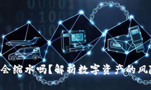 Tokenim会缩水吗?解析数字资产的风险与机会
