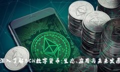 深入了解BCH数字货币：生