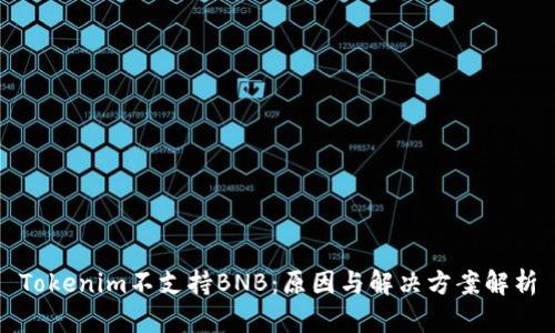 Tokenim不支持BNB:原因与解决方案解析
