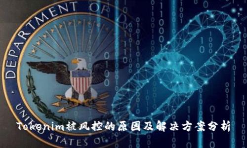 Tokenim被风控的原因及解决方案分析