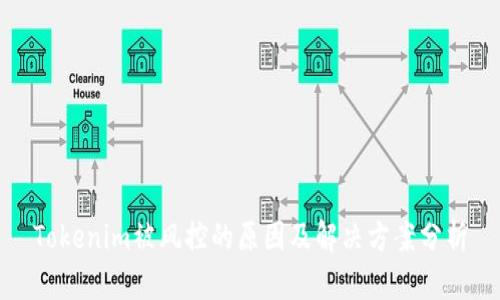 Tokenim被风控的原因及解决方案分析