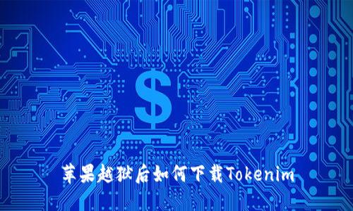 苹果越狱后如何下载Tokenim