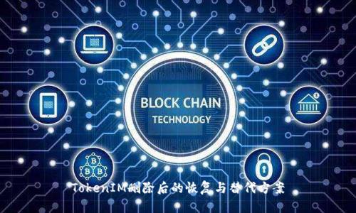 TokenIM删除后的恢复与替代方案