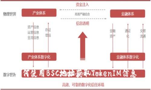 如何使用BSC地址获取TokenIM信息