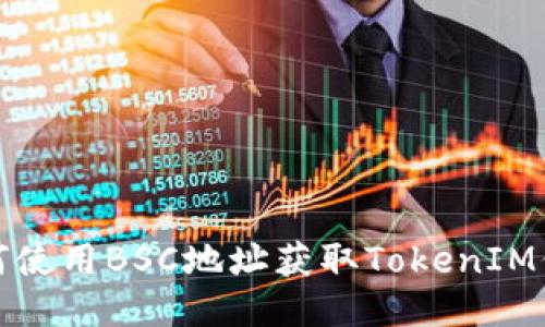 如何使用BSC地址获取TokenIM信息