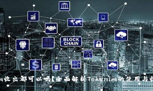 Tokenim收出都可以吗?全面解析Tokenim的使用与收款功能