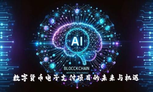 数字货币电子支付项目的未来与机遇