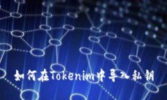 如何在Tokenim中导入私钥