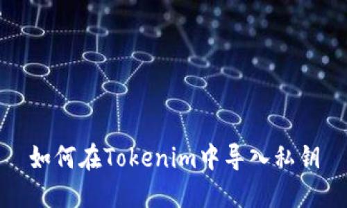如何在Tokenim中导入私钥