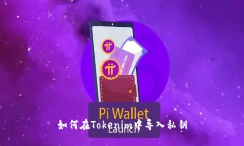 如何在Tokenim中导入私钥