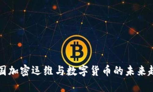 美国加密运维与数字货币的未来趋势