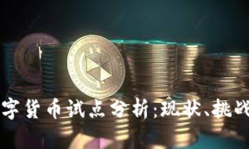 成都数字货币试点分析:现状、挑战与未来