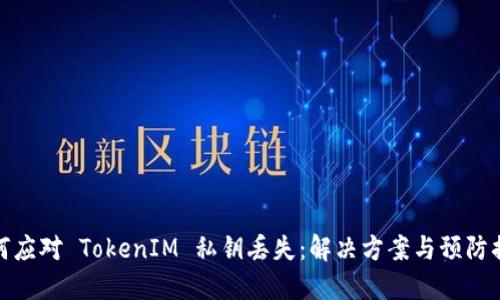 如何应对 TokenIM 私钥丢失:解决方案与预防措施