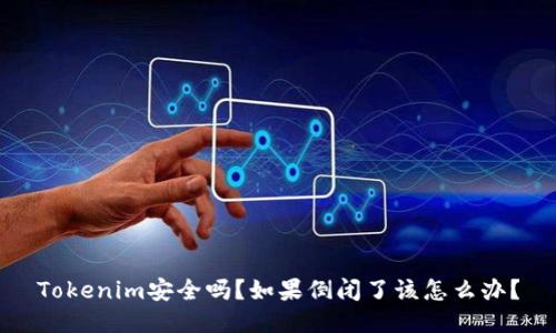 Tokenim安全吗?如果倒闭了该怎么办?