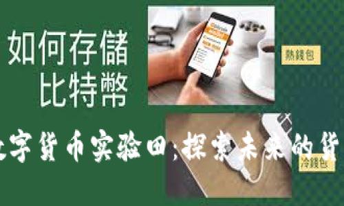 中国数字货币实验田:探索未来的货币形态