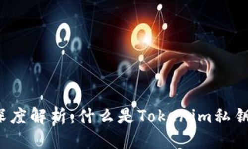 深度解析:什么是Tokenim私钥?
