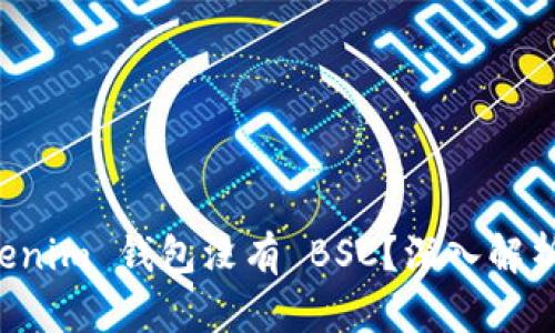 为什么 Tokenim 钱包没有 BSC?深入解析与解决方案