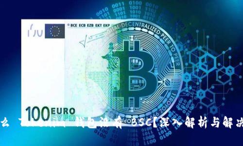 为什么 Tokenim 钱包没有 BSC?深入解析与解决方案