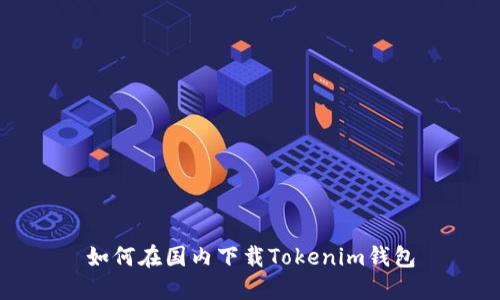 如何在国内下载Tokenim钱包