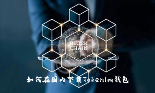 如何在国内下载Tokenim钱包