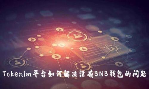 Tokenim平台如何解决没有BNB钱包的问题
