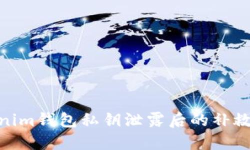 Tokenim钱包私钥泄露后的补救措施