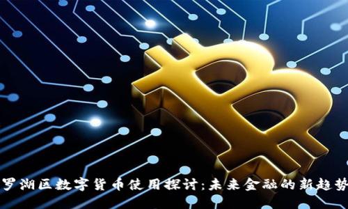 罗湖区数字货币使用探讨:未来金融的新趋势