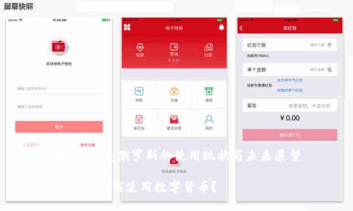 数字货币:俄罗斯的使用现状与未来展望
俄罗斯如何使用数字货币?