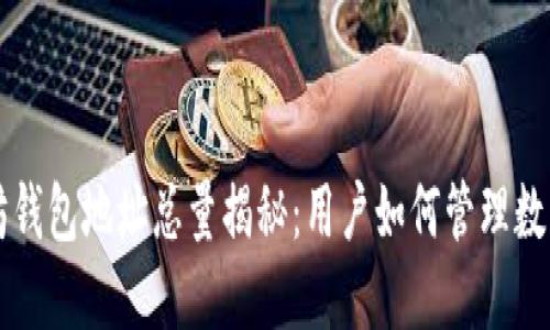 以太坊钱包地址总量揭秘:用户如何管理数字资产