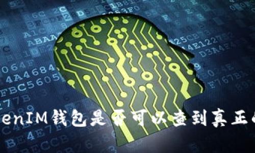 TokenTokenIM钱包是否可以查到真正的使用人?