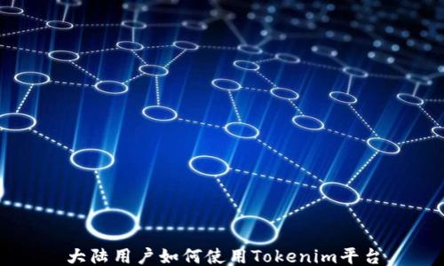 大陆用户如何使用Tokenim平台