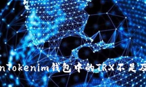 如何解决TokenTokenim钱包中的TRX不足及能量不足问题