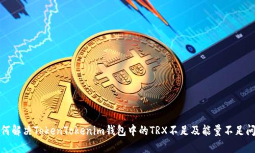 如何解决TokenTokenim钱包中的TRX不足及能量不足问题