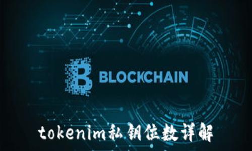 tokenim私钥位数详解